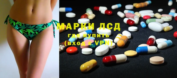 стафф Алзамай