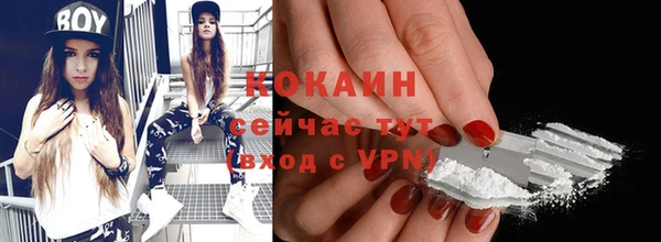 стафф Алзамай