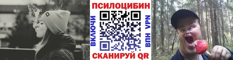 Псилоцибиновые грибы Cubensis  Туймазы 
