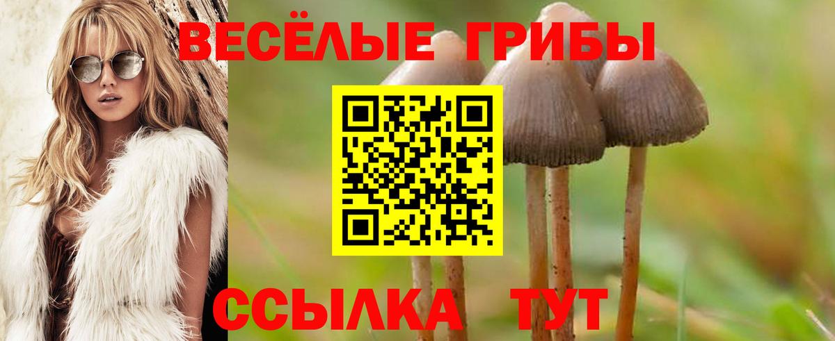 Псилоцибиновые грибы Magic Shrooms  как найти наркотики  Туймазы  Вход с VPN 